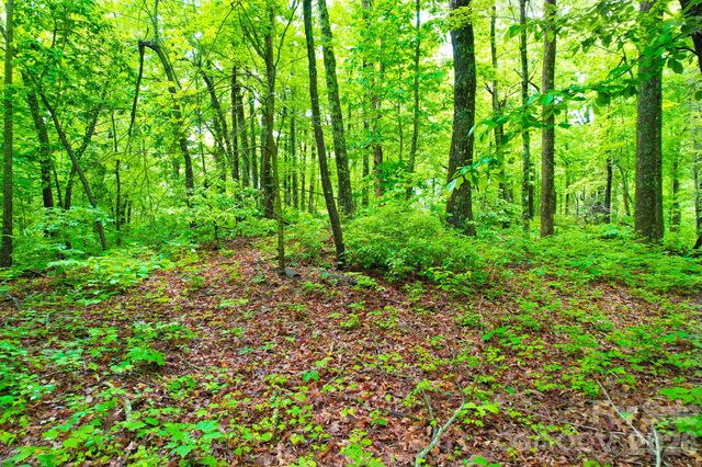 215 Laurel Mountain Trail 10, Black Mountain, NC 28711