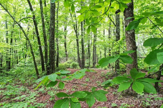 215 Laurel Mountain Trail 10, Black Mountain, NC 28711