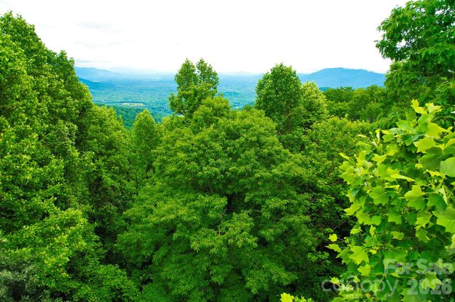 215 Laurel Mountain Trail 10, Black Mountain, NC 28711