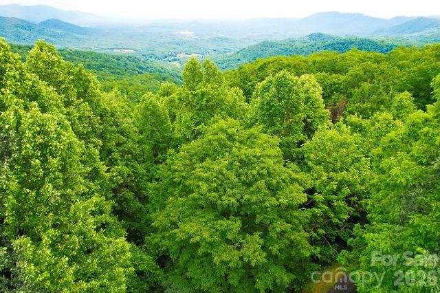 215 Laurel Mountain Trail 10, Black Mountain, NC 28711
