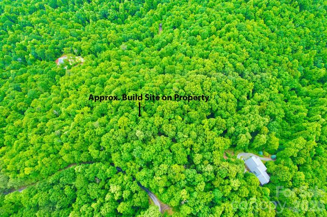 215 Laurel Mountain Trail 10, Black Mountain, NC 28711