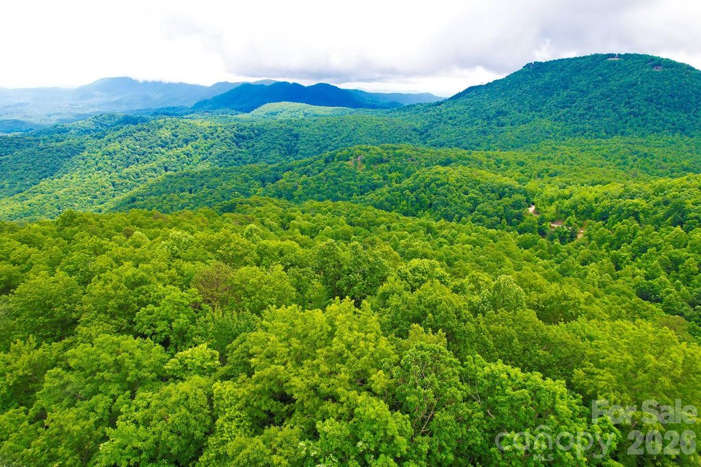 215 Laurel Mountain Trail 10, Black Mountain, NC 28711