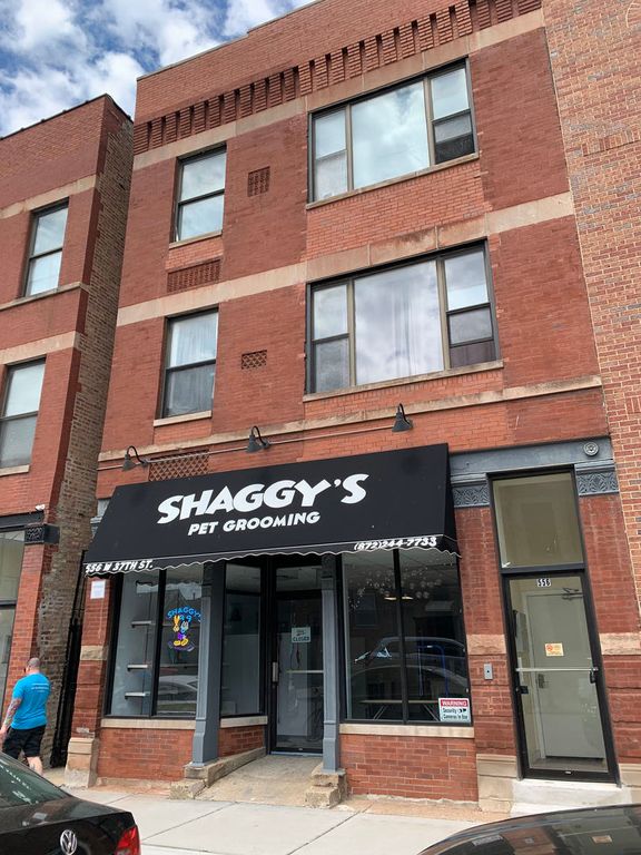 556 W 37th Street 3C, Chicago, IL 60609