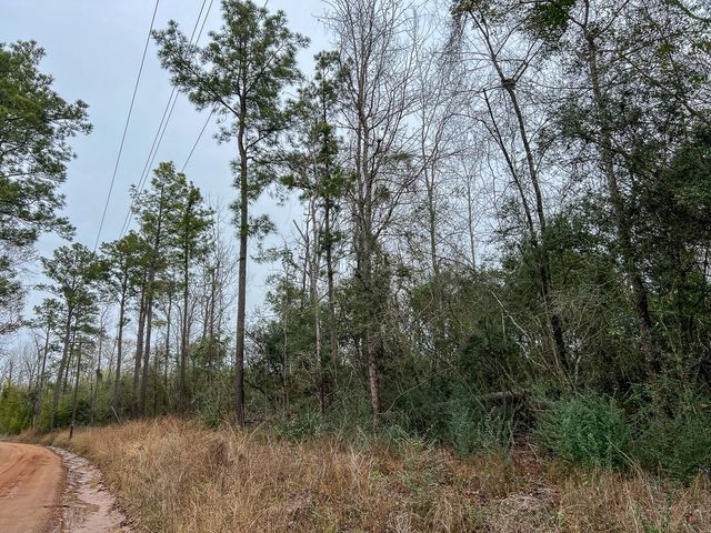 3 Fm 2626, Newton, TX 75966