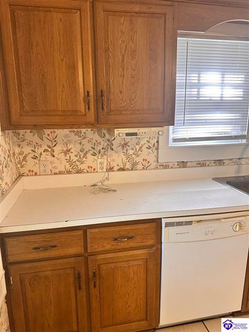 301 E Main Street, Vine Grove, KY 42701