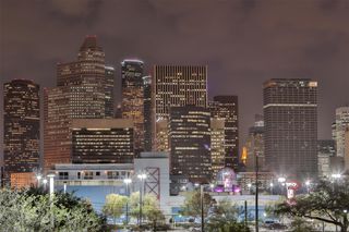 206 Mcgowen Street 3401, Houston, TX 77006