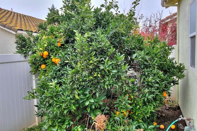 130 Little Johns Creek Dr, Oakdale, CA 95361