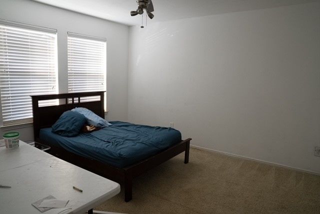 302 Azalea Drive, Fate, TX 75087