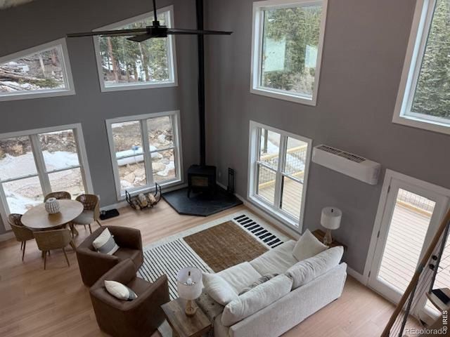 950 Gold Pan Lane, Fairplay, CO 80440