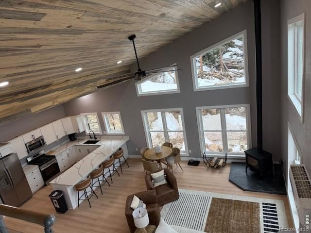 950 Gold Pan Lane, Fairplay, CO 80440