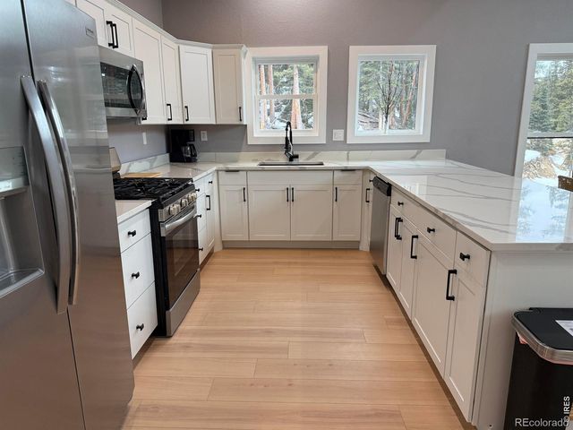 950 Gold Pan Lane, Fairplay, CO 80440