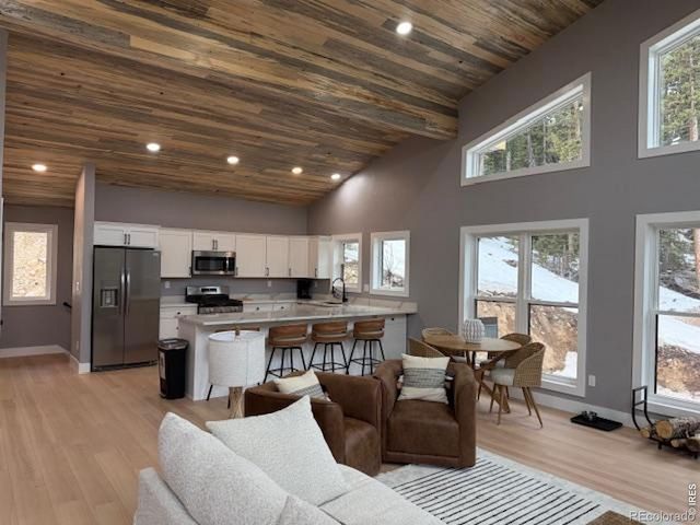 950 Gold Pan Lane, Fairplay, CO 80440