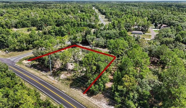 3 BAY DRIVE, Ocklawaha, FL 32179