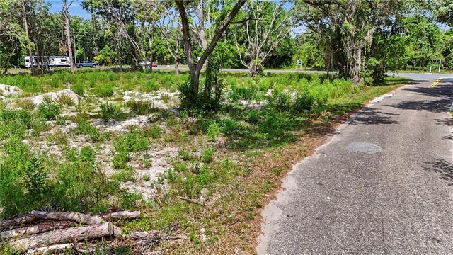 3 BAY DRIVE, Ocklawaha, FL 32179