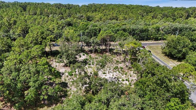 3 BAY DRIVE, Ocklawaha, FL 32179