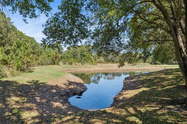 110 ORANGE COSMOS BOULEVARD, Davenport, FL 33837