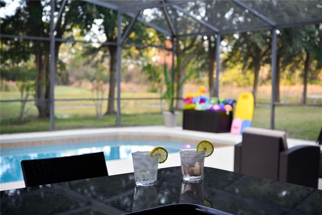 110 ORANGE COSMOS BOULEVARD, Davenport, FL 33837