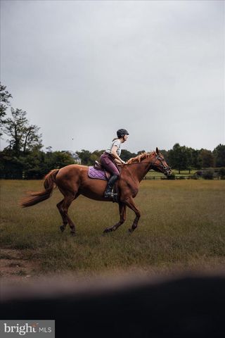 19606 RIDGESIDE RD, Bluemont, VA 20135