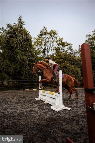 19606 RIDGESIDE RD, Bluemont, VA 20135