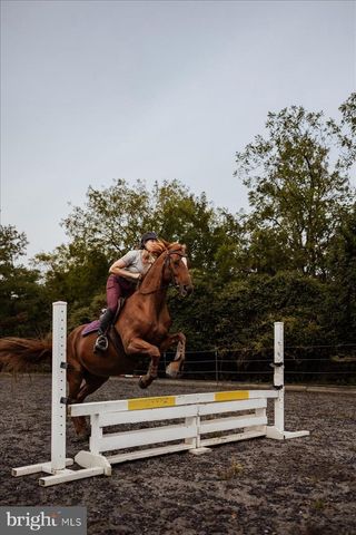 19606 RIDGESIDE RD, Bluemont, VA 20135