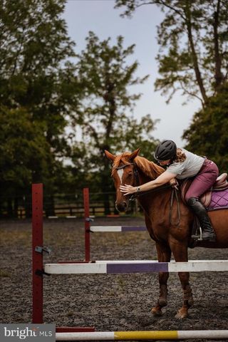 19606 RIDGESIDE RD, Bluemont, VA 20135