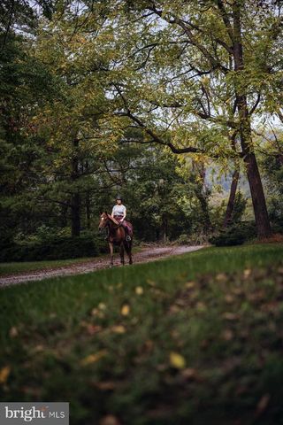 19606 RIDGESIDE RD, Bluemont, VA 20135