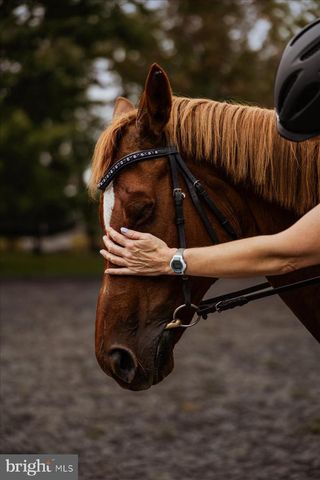 19606 RIDGESIDE RD, Bluemont, VA 20135