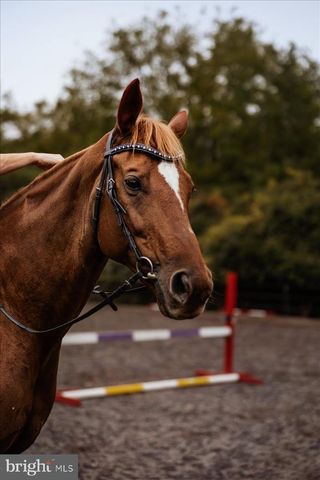 19606 RIDGESIDE RD, Bluemont, VA 20135