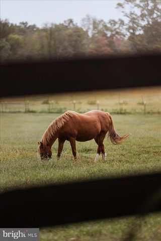 19606 RIDGESIDE RD, Bluemont, VA 20135