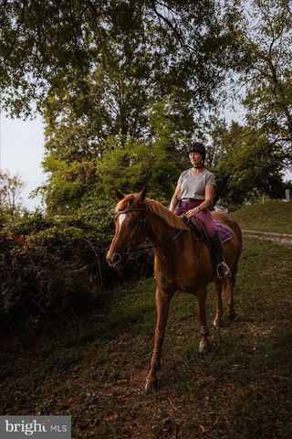 19606 RIDGESIDE RD, Bluemont, VA 20135