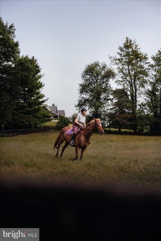 19606 RIDGESIDE RD, Bluemont, VA 20135