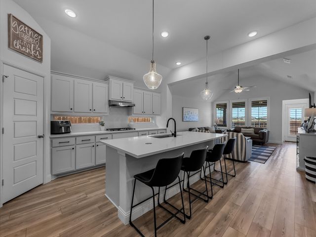 363 Misty Meadow Lane, Lavon, TX 75166