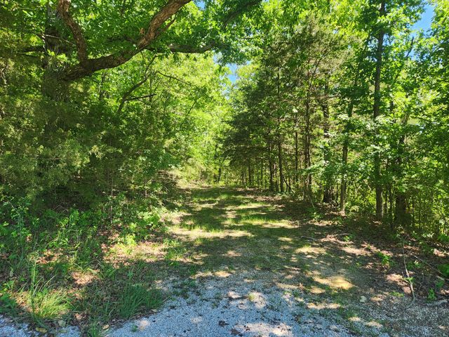 200 Sherwood Forest Lane, Ridgedale, MO 65739