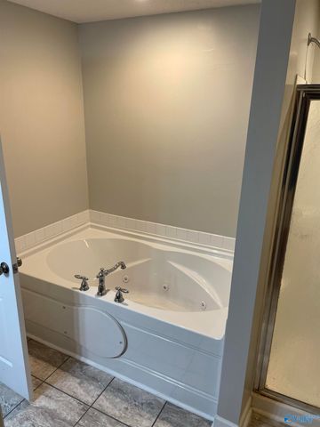 114 Jewell Cobb Court, Owens Cross Roads, AL 35763