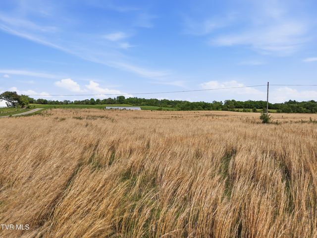 525 Matthews Lane, Mosheim, TN 37818
