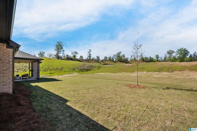 4132 BLACKRIDGE CREST, Hoover, AL 35244