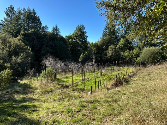 4756 Wilder Ridge Road, Garberville, CA 95542