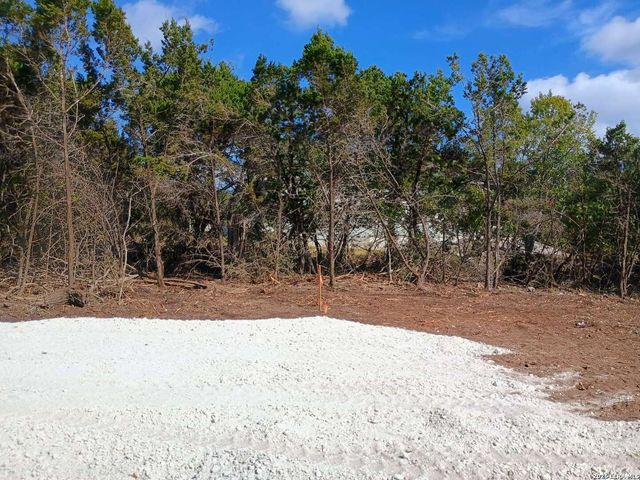 224 FREEDOM ST, Fischer, TX 78623