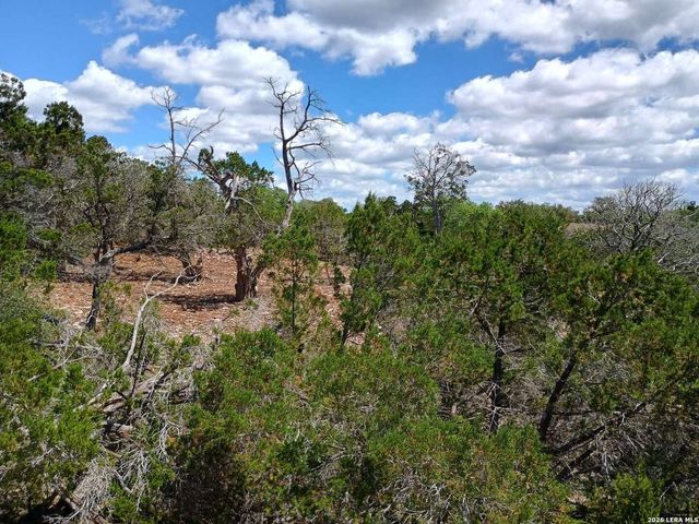 224 FREEDOM ST, Fischer, TX 78623