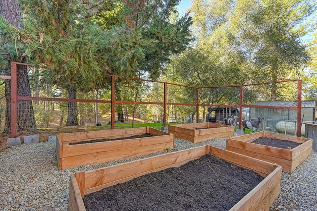 16485 Rolling Oaks Ct, Fiddletown, CA 95629