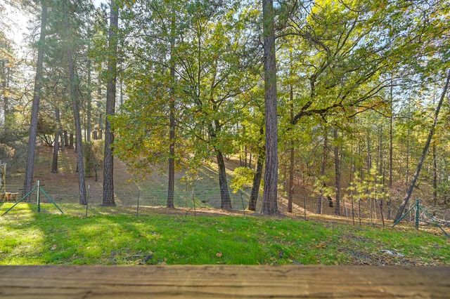 16485 Rolling Oaks Ct, Fiddletown, CA 95629