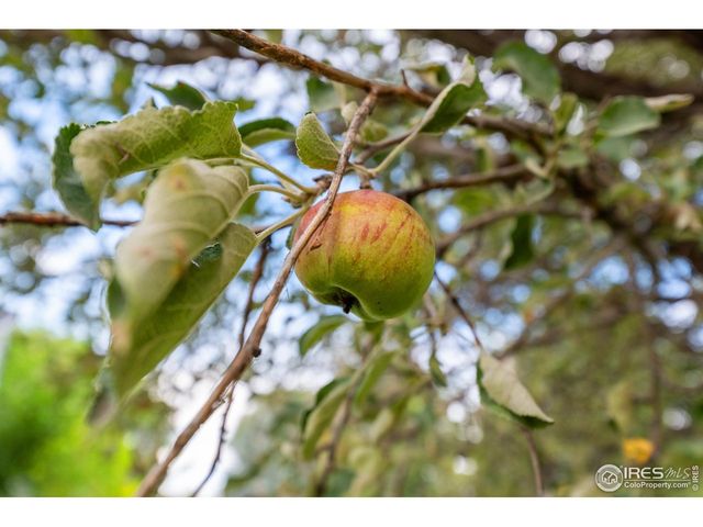 1023 Edmunds St, Brush, CO 80723