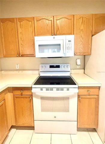 5125 PALM SPRINGS BOULEVARD 13206, Tampa, FL 33647