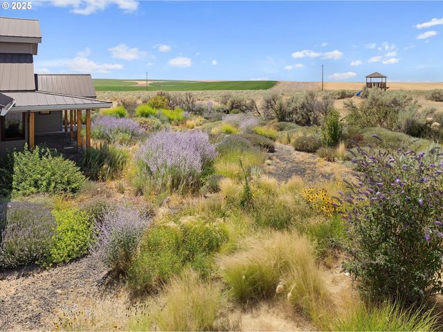 64209 Meadow Brook Rd, Lexington, OR 97839