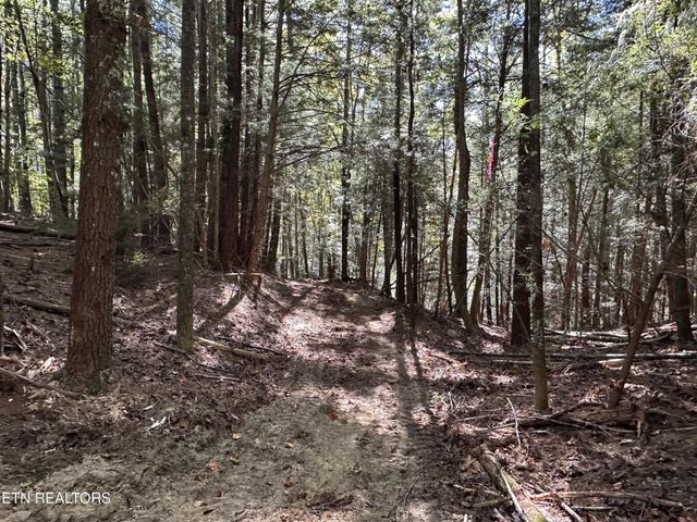 186 Cave Branch Rd, Allardt, TN 38504