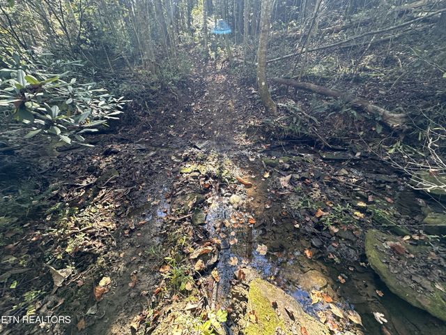 186 Cave Branch Rd, Allardt, TN 38504