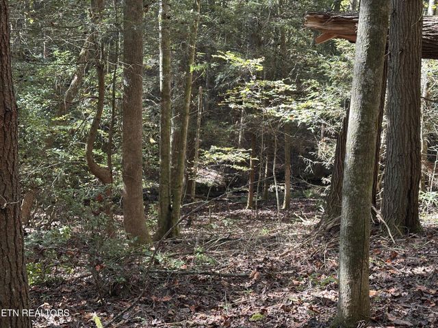 186 Cave Branch Rd, Allardt, TN 38504