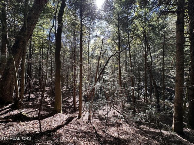 186 Cave Branch Rd, Allardt, TN 38504