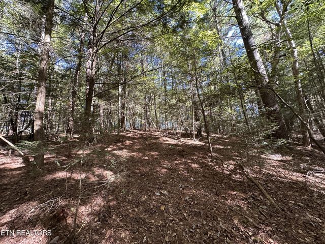 186 Cave Branch Rd, Allardt, TN 38504