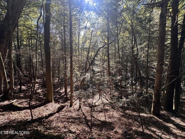 186 Cave Branch Rd, Allardt, TN 38504